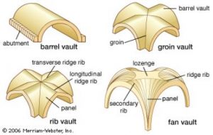 图示四种常见的穹窿类型:腹股沟、扇形、桶形和肋骨。