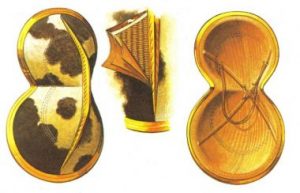 Reconstruction of the outside of a figure-eight shield (left), Cutaway to show wicker core and layers of hide (centre), and inside of shield showing cross-stretchers and neck strap (right). From The Greek Armies by Peter Connolly.